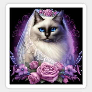 Mesmerizing Ragdoll Cat Sticker